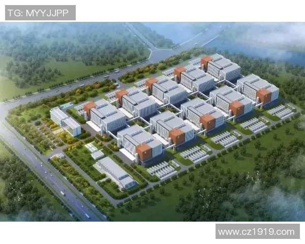 数据分析：成都极限运动队的灵活性表现